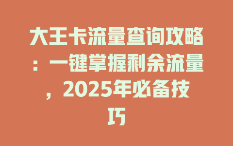 大王卡流量查询攻略：一键掌握剩余流量，2025年必备技巧
