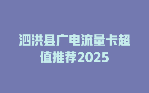 泗洪县广电流量卡超值推荐2025