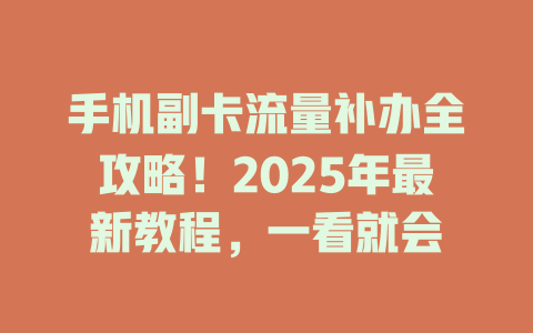 手机副卡流量补办全攻略！2025年最新教程，一看就会