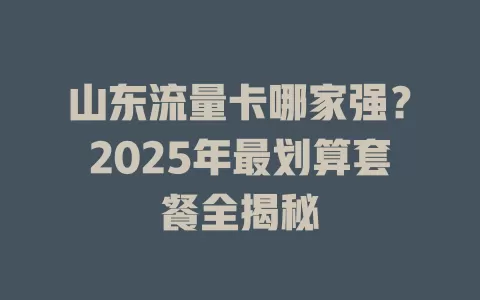 山东流量卡哪家强？2025年最划算套餐全揭秘