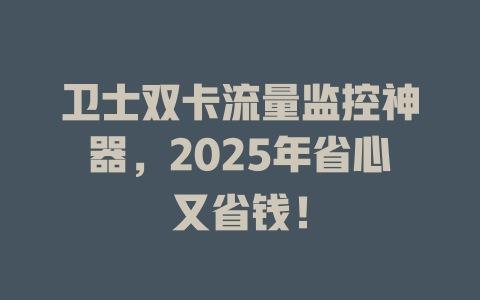 卫士双卡流量监控神器，2025年省心又省钱！