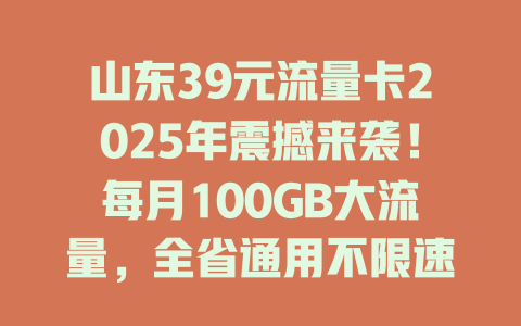山东39元流量卡2025年震撼来袭！每月100GB大流量，全省通用不限速！