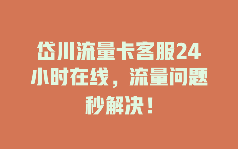 岱川流量卡客服24小时在线，流量问题秒解决！