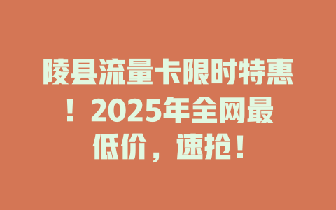陵县流量卡限时特惠！2025年全网最低价，速抢！