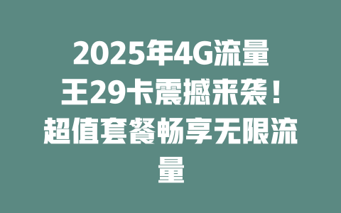 2025年4G流量王29卡震撼来袭！超值套餐畅享无限流量