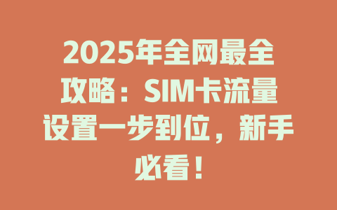 2025年全网最全攻略：SIM卡流量设置一步到位，新手必看！
