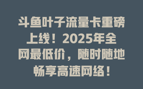斗鱼叶子流量卡重磅上线！2025年全网最低价，随时随地畅享高速网络！