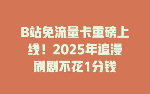 B站免流量卡重磅上线！2025年追漫刷剧不花1分钱