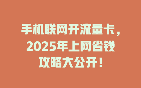 手机联网开流量卡，2025年上网省钱攻略大公开！