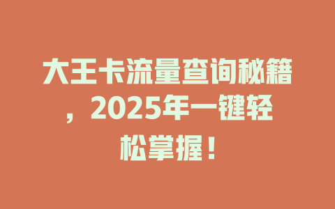 大王卡流量查询秘籍，2025年一键轻松掌握！