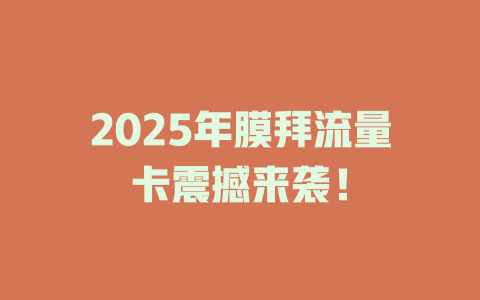 2025年膜拜流量卡震撼来袭！