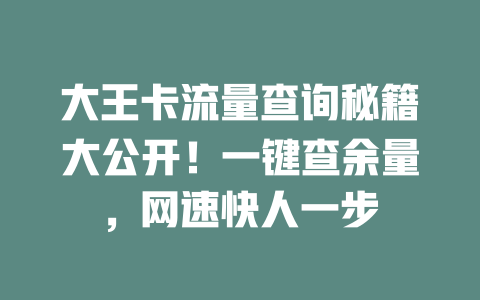 大王卡流量查询秘籍大公开！一键查余量，网速快人一步