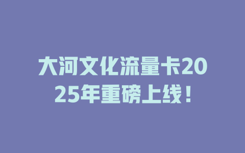 大河文化流量卡2025年重磅上线！