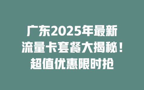 广东2025年最新流量卡套餐大揭秘！超值优惠限时抢
