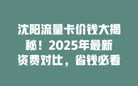 沈阳流量卡价钱大揭秘！2025年最新资费对比，省钱必看