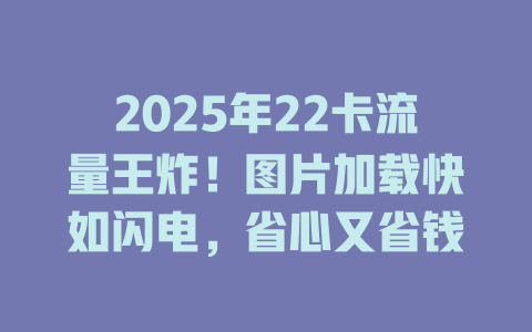 2025年22卡流量王炸！图片加载快如闪电，省心又省钱