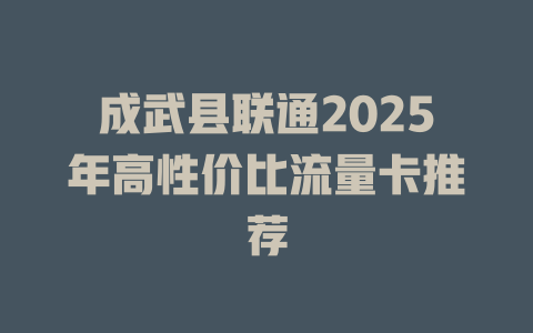成武县联通2025年高性价比流量卡推荐