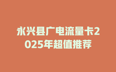 永兴县广电流量卡2025年超值推荐