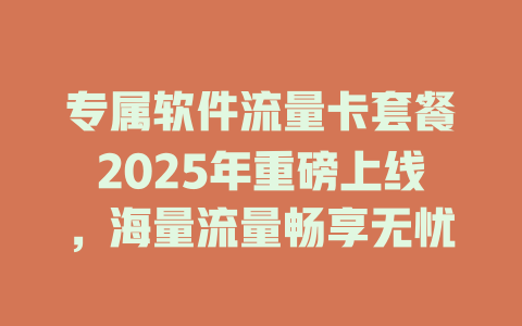 专属软件流量卡套餐2025年重磅上线，海量流量畅享无忧