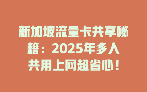 新加坡流量卡共享秘籍：2025年多人共用上网超省心！