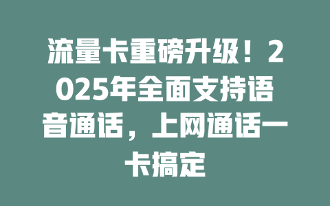 流量卡重磅升级！2025年全面支持语音通话，上网通话一卡搞定