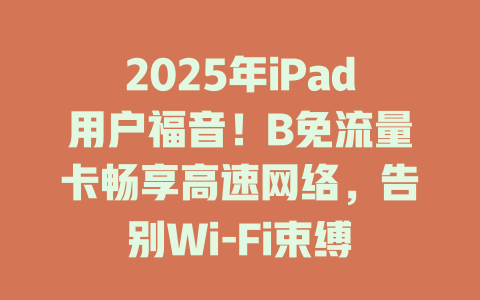 2025年iPad用户福音！B免流量卡畅享高速网络，告别Wi-Fi束缚