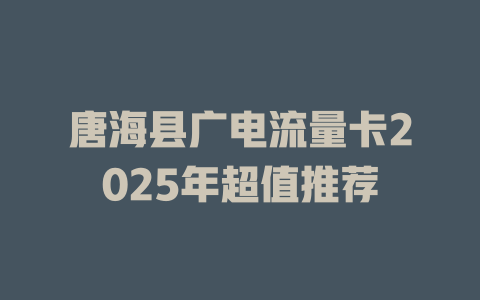 唐海县广电流量卡2025年超值推荐