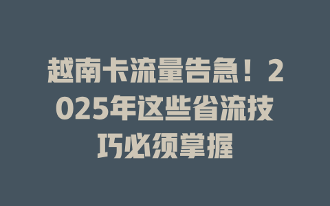 越南卡流量告急！2025年这些省流技巧必须掌握