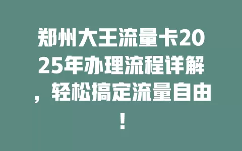 郑州大王流量卡2025年办理流程详解，轻松搞定流量自由！