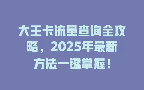 大王卡流量查询全攻略，2025年最新方法一键掌握！