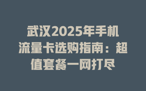 武汉2025年手机流量卡选购指南：超值套餐一网打尽