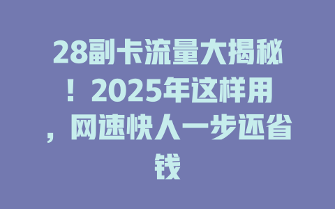 28副卡流量大揭秘！2025年这样用，网速快人一步还省钱