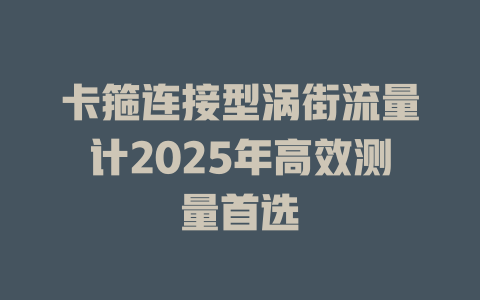 卡箍连接型涡街流量计2025年高效测量首选