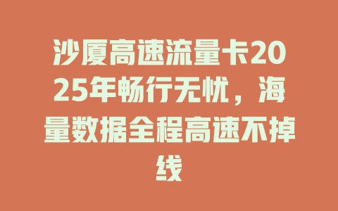 沙厦高速流量卡2025年畅行无忧，海量数据全程高速不掉线