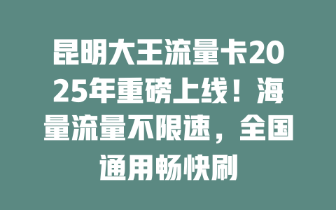 昆明大王流量卡2025年重磅上线！海量流量不限速，全国通用畅快刷