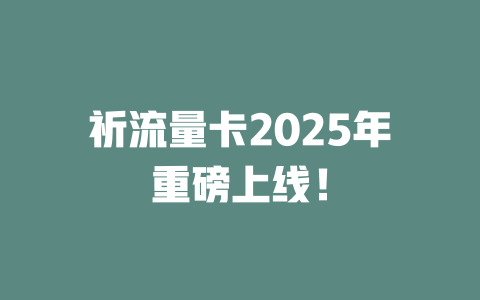 祈流量卡2025年重磅上线！