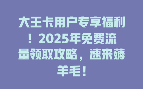 大王卡用户专享福利！2025年免费流量领取攻略，速来薅羊毛！