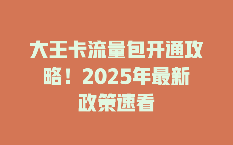 大王卡流量包开通攻略！2025年最新政策速看