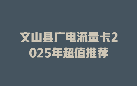 文山县广电流量卡2025年超值推荐