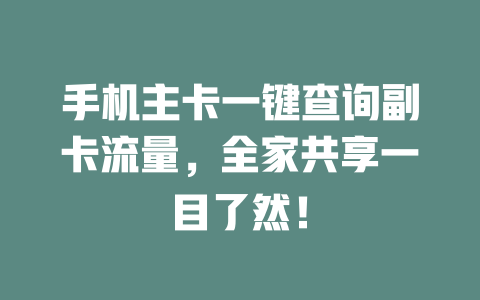 手机主卡一键查询副卡流量，全家共享一目了然！