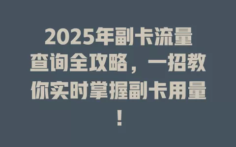 2025年副卡流量查询全攻略，一招教你实时掌握副卡用量！