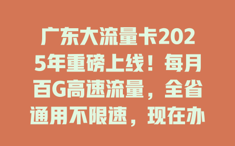 广东大流量卡2025年重磅上线！每月百G高速流量，全省通用不限速，现在办理还送240话费！