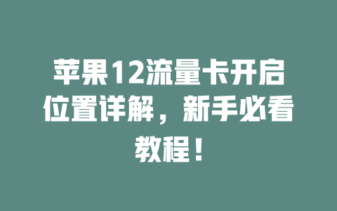 苹果12流量卡开启位置详解，新手必看教程！