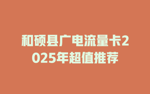 和硕县广电流量卡2025年超值推荐