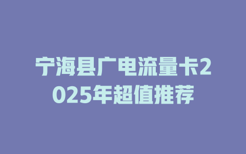 宁海县广电流量卡2025年超值推荐