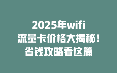 2025年wifi流量卡价格大揭秘！省钱攻略看这篇