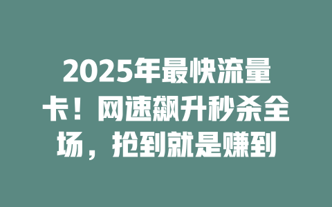 2025年最快流量卡！网速飙升秒杀全场，抢到就是赚到