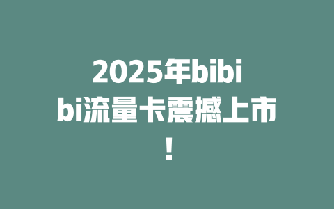 2025年bibibi流量卡震撼上市！