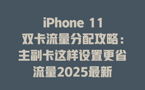 iPhone 11双卡流量分配攻略：主副卡这样设置更省流量2025最新