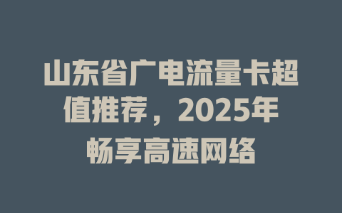 山东省广电流量卡超值推荐，2025年畅享高速网络